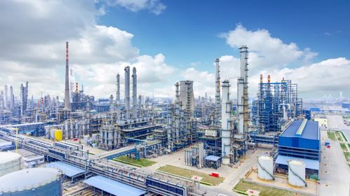 青岛峰会特别报道 民营经济的“滨州闯劲”与“常德智慧”