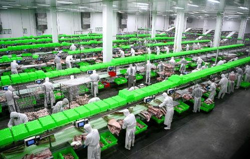 2020，南阳城乡巨变 三起来战略如何劲推城市出新出彩